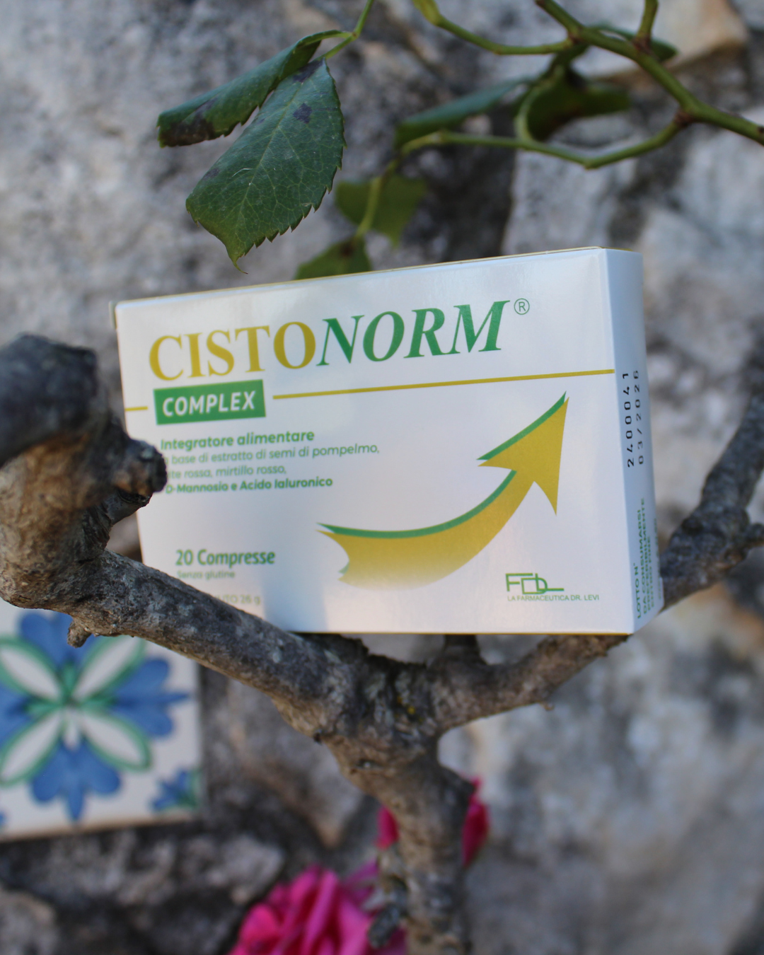 
                  
                    CISTONORM Complex Compresse - Integratore alimentare per Cistite
                  
                